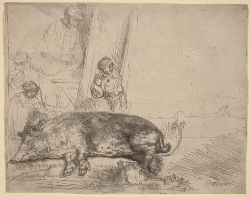 The Hog, by Rembrandt