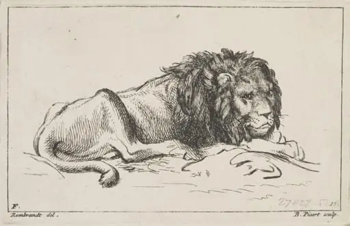 Untitled, by Rembrandt