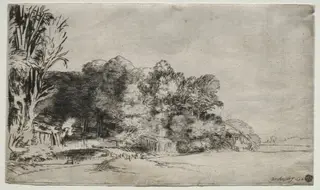 Clump of Trees with a Vista