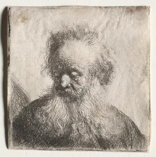 Old Man with a Flowing Beard: Bust, by Rembrandt van Rijn