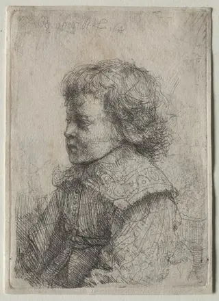 Portrait of a Boy in Profile, by Rembrandt van Rijn