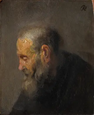 Study of an Old Man in Profile, by Rembrandt van Rijn