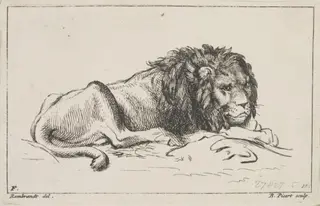 Untitled, by Rembrandt van Rijn