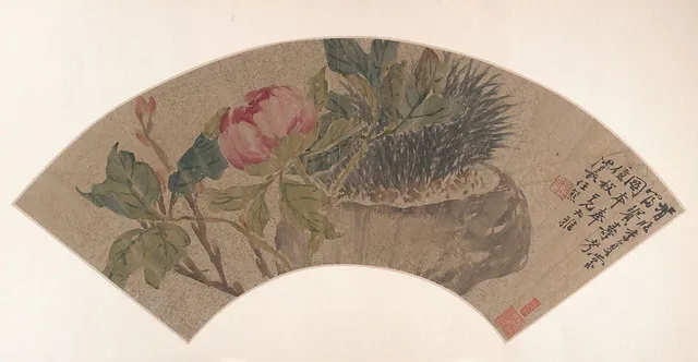 清 任熊 牡丹 扇面|Peony