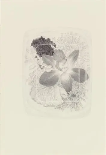 Untitled, by Renato Orara