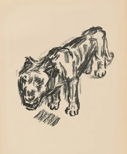 Löwe (Lion) from Deutsche Graphiker der Gegenwart (German Printmakers of Our Time), by René Beeh