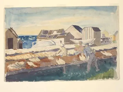 St Anthony's Harbour - A fish drying establishment with seal skins drying., by Rhoda Bickerdike