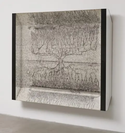Untitled, by Richard Artschwager