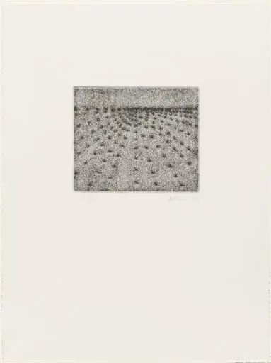 Untitled, by Richard Artschwager