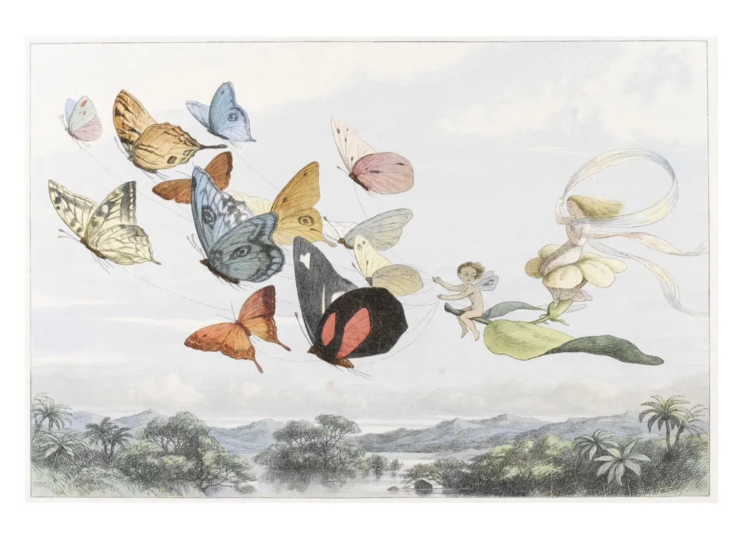 Plate XIII The Fairy Queen takes an Airy Drive in Light Carriage, by Richard Doyle, 1870