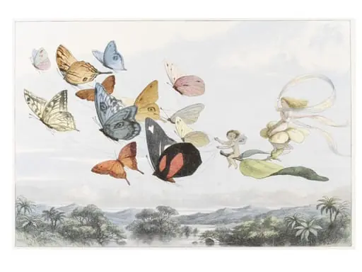 Plate XIII The Fairy Queen takes an Airy Drive in Light Carriage, by Richard Doyle