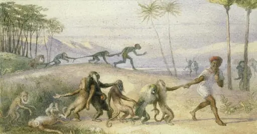 The Manners and Customs of Monkeys, by Richard Doyle