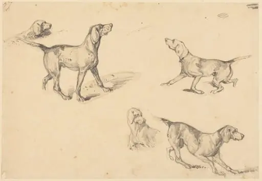 Five Studies of a French Pointer, by Richard Parkes Bonington