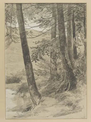 Study of tree stems at King George's Hill, Abinger, by Richard Redgrave