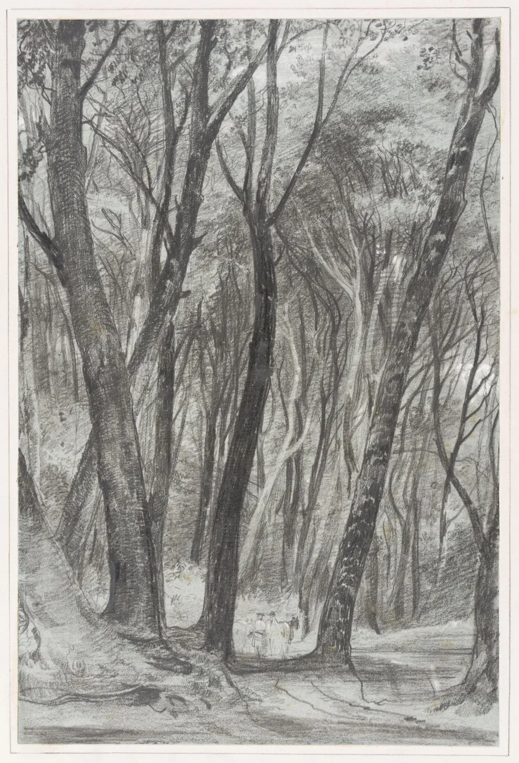 Study of trees, Wotton Woods, Abinger, by Richard Redgrave, 1850