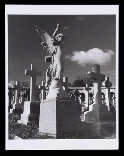 Brompton Cemetery No. 3, by Rick Coccia