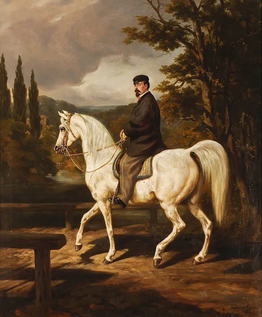 Rider