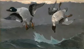 Right and Left