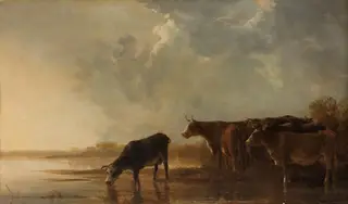 River landscape with cows
