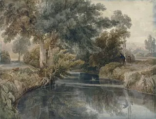 Riverscape