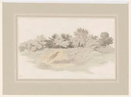A Group of Trees in Heathland, by Robert Hills