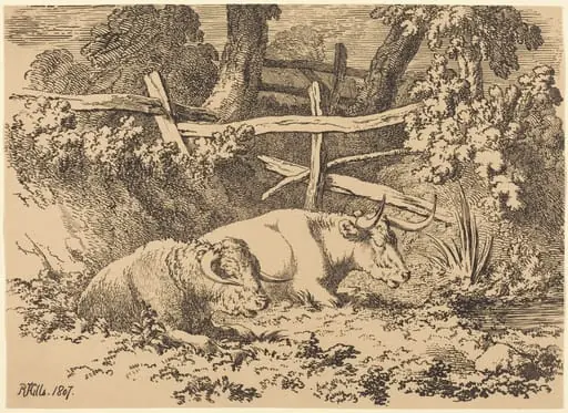 Cattle Resting, by Robert Hills