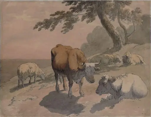 Cows and sheep, by Robert Hills