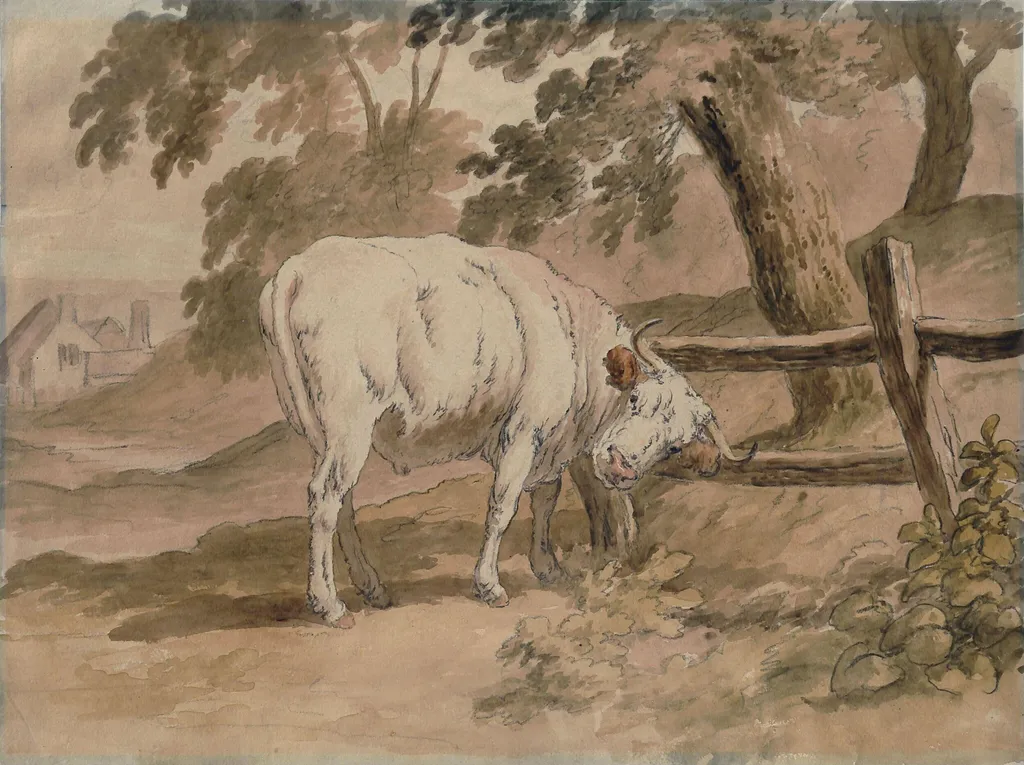 Ox Rubbing Itself Against Rails, by Robert Hills, watercolor, 1790