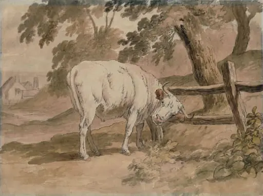 Ox Rubbing Itself Against Rails, by Robert Hills