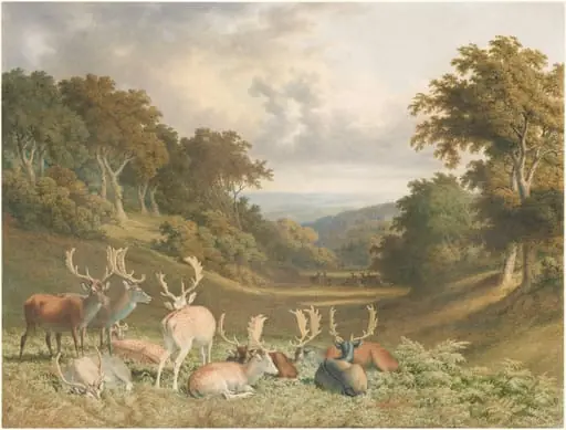 Stags in Knole Park, Kent, by Robert Hills