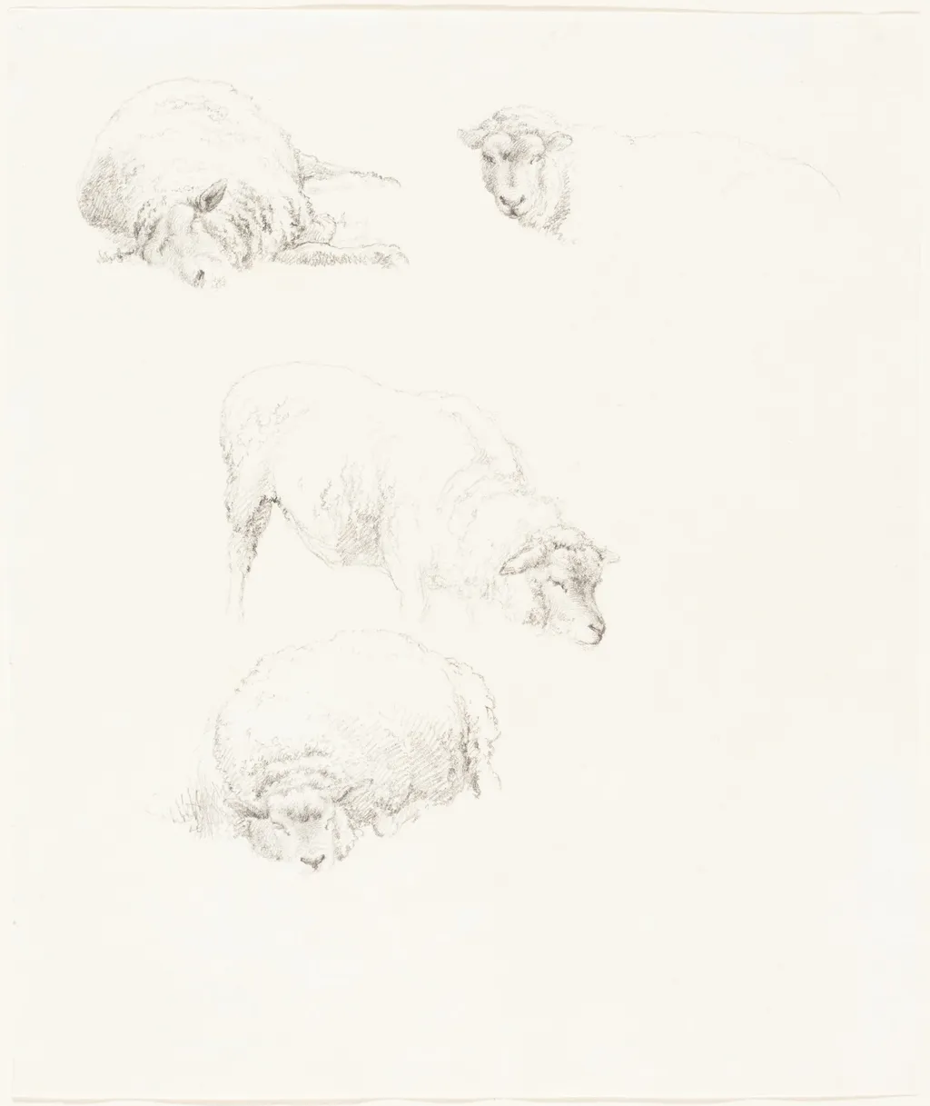 Studies of Sheep, by Robert Hills, graphite, 1806