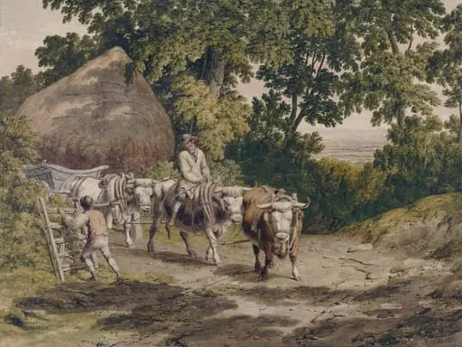 The Ox Team, by Robert Hills