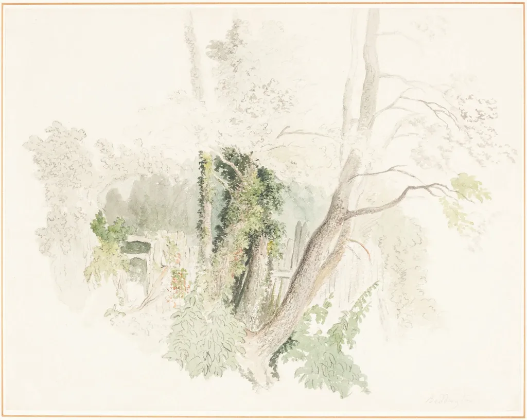 Trees at Beddington, by Robert Hills, graphite, 1805