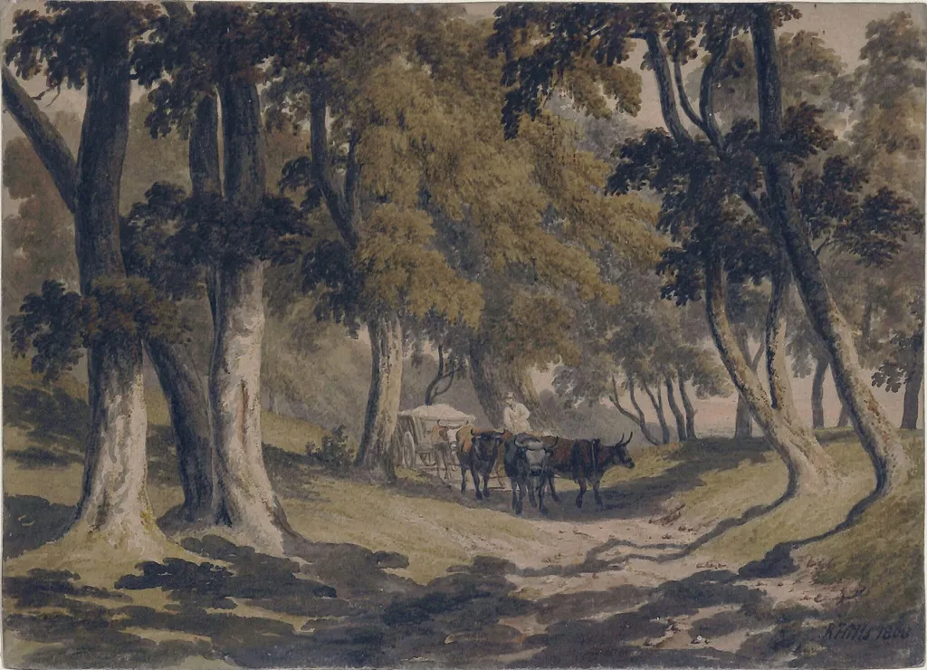 Woodland Road with Ox-waggon, by Robert Hills, watercolor, 1808