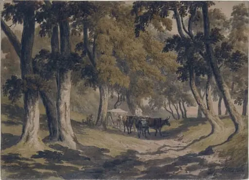 Woodland Road with Ox-waggon, by Robert Hills
