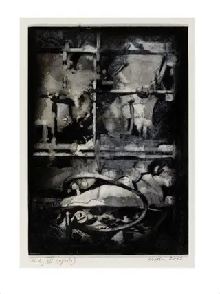 Study VII (Oporto)