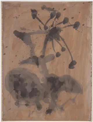 Untitled, by Robert Motherwell