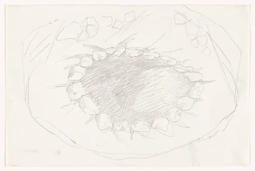Untitled, by Robert Smithson