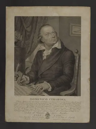 H Beard Print Collection