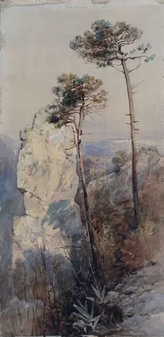 Rocks and Pines, Sorrento