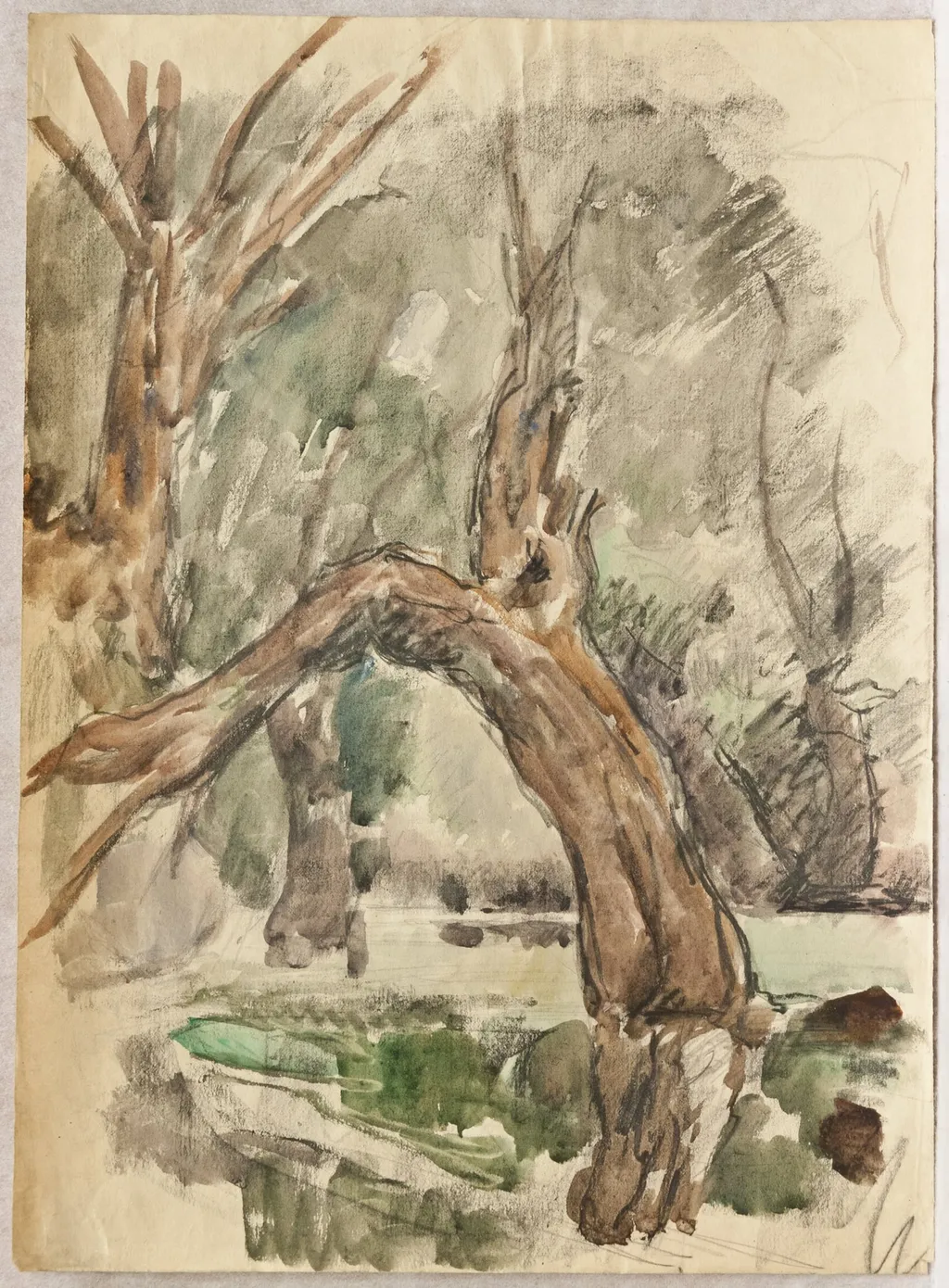 Copaci în deltă, by Rodica Maniu, unspecified, 1950