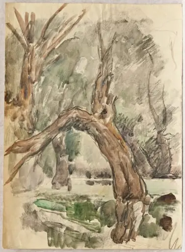 Copaci în deltă, by Rodica Maniu