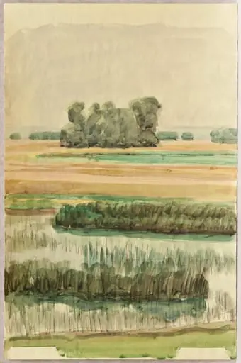 Peisaj de deltă, by Rodica Maniu