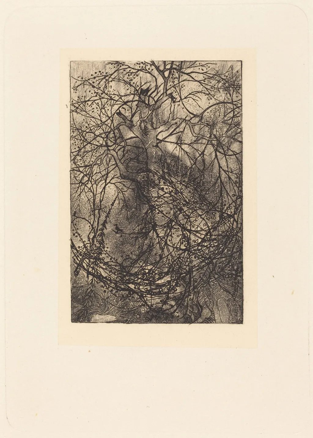 Branches, by Rodolphe Bresdin, ink, 1855
