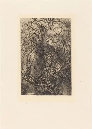Branches, by Rodolphe Bresdin