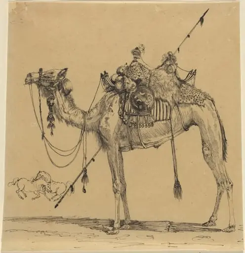 The Camel, by Rodolphe Bresdin
