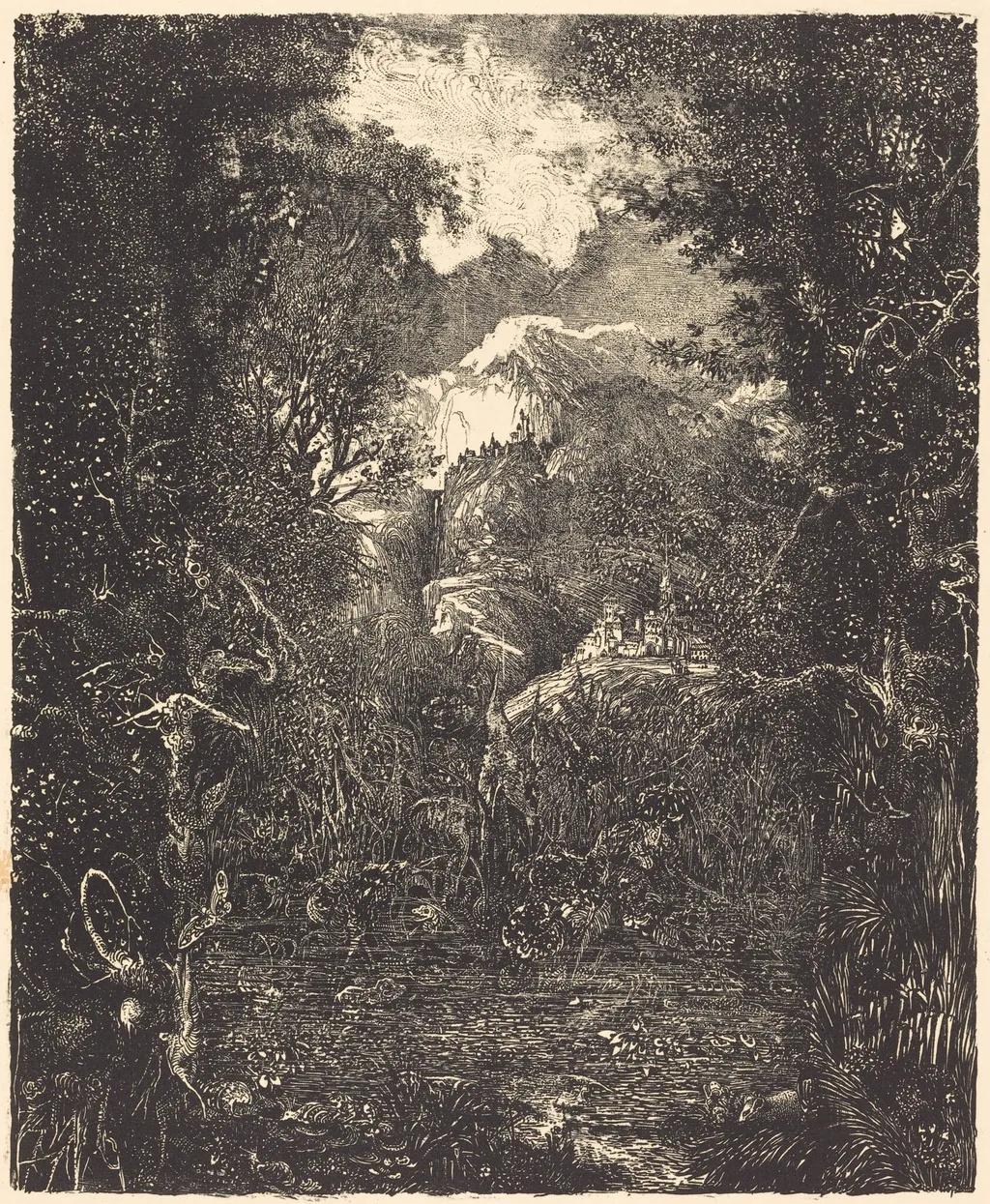 The Towns Behind the Marsh, by Rodolphe Bresdin, ink, 1868