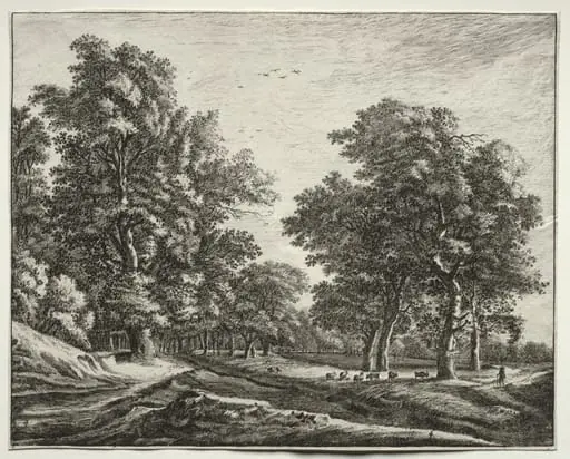 Six views in the Wood of the Hague: Plate 4, Goats Under the Trees, by Roelant Roghman
