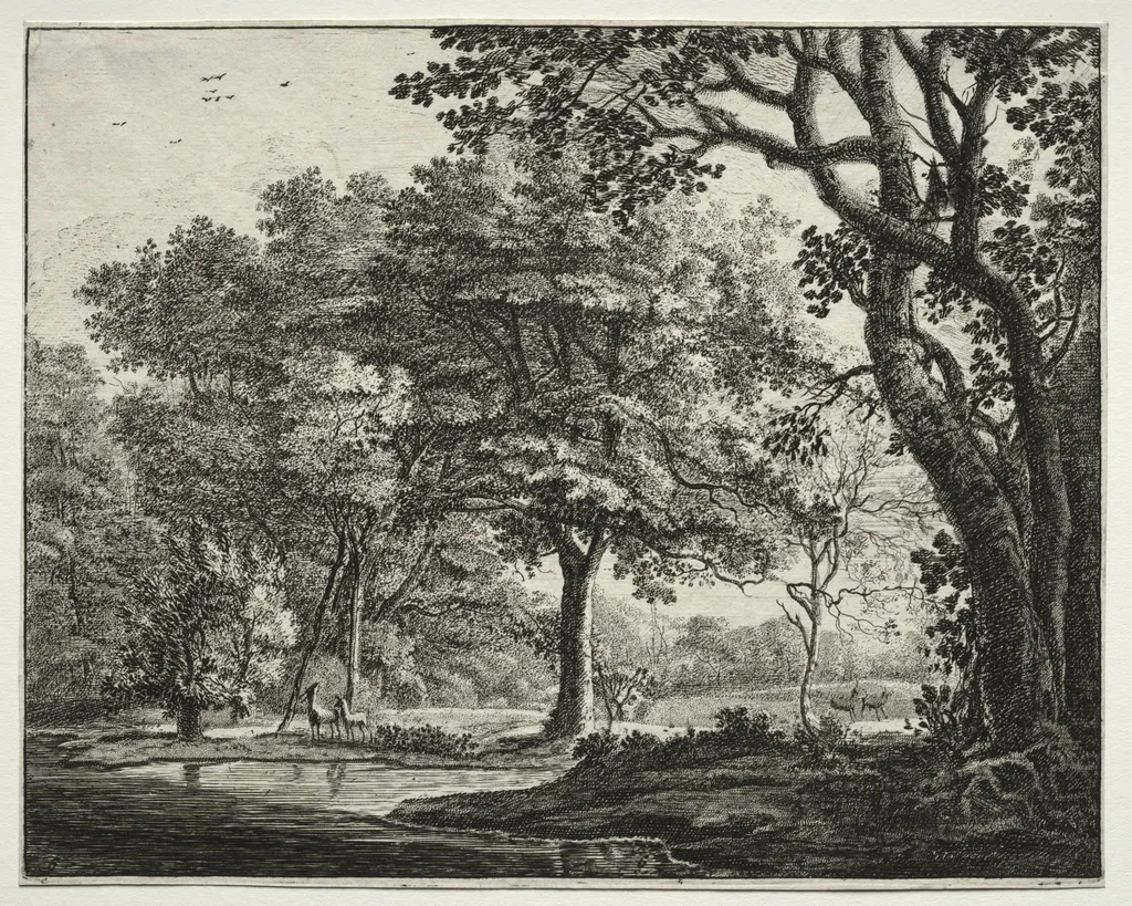 Six views in the Wood of the Hague: Plate 6, Two Deer, by Roelant Roghman, 1646