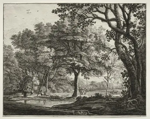 Six views in the Wood of the Hague: Plate 6, Two Deer, by Roelant Roghman